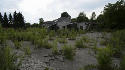 Overgrown - August 2017 - 29.jpg