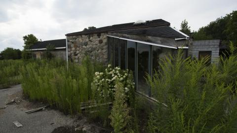 Overgrown - August 2017 - 30.jpg