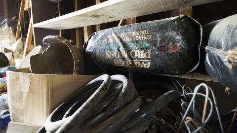 Overgrown - August 2017 - 35.jpg