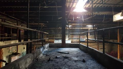 Graffiti Market - 37.jpg