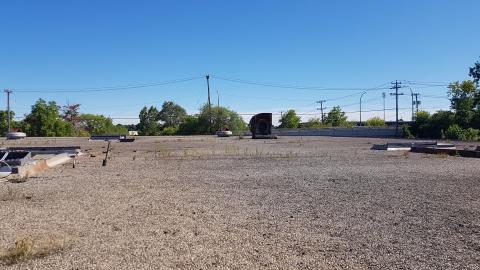 Graffiti Market - 52.jpg