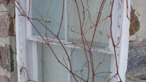 St. John's - St.-Johns-at-Coulsons-Hill6.jpg