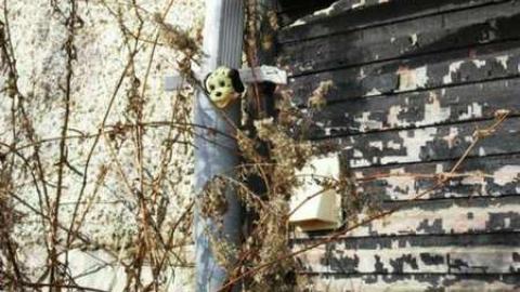 80's Porn House photo 4