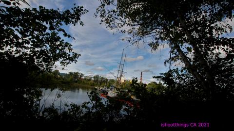 The VALUE Of Wood - IMG_6738.JPG