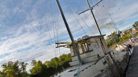 The VALUE Of Wood - IMG_6749.JPG