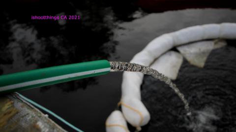 The "French Cuban Dream" photo 3