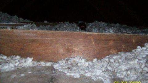 Gallery - Chelmsford-Red-House20.jpg