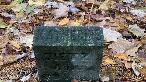 Germania 2020 - 78519A41-0612-48FB-8F5E-22FD5200FDF8.jpeg