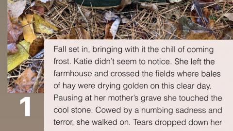 Germania 2020 - 08B10166-6C7A-4FAC-8EC2-65DFC318F473.jpeg