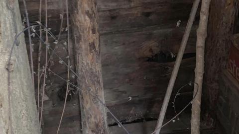 Germania 2020 - B94F21E1-CBD6-4C75-B4DE-9F3F3DE73E57.jpeg