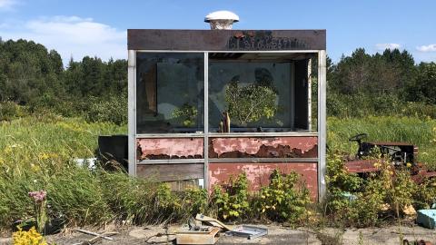 Alright - IMG-8391.jpg