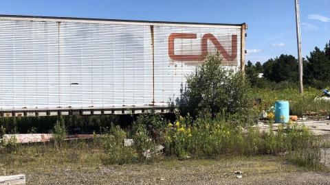 Alright - IMG-8388.jpg