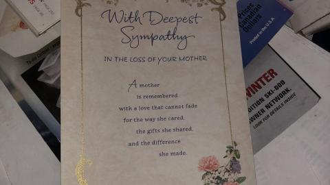 Whats That Trapdoor? - IMG-7983.jpg