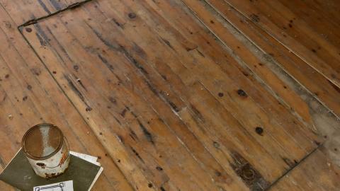 Photo from Whats That Trapdoor?