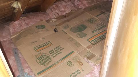 Small doors tall doors (80) - 20210511_132932.jpg