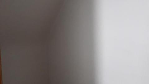 Small doors tall doors (80) - 20210511_132917.jpg