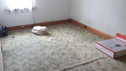 Small doors tall doors (80) - 20210511_132701.jpg