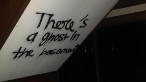 Photo from First Visit, August 2021