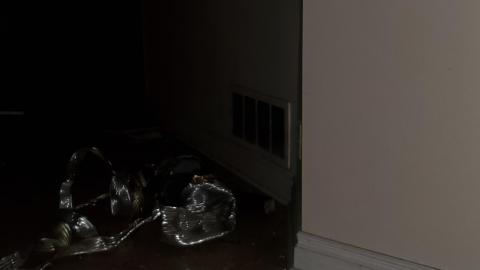 First Visit, August 2021 - 6parklncrsc6.jpg