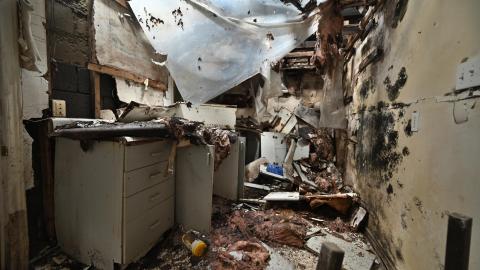 Major Decay - _DSC5658.JPG