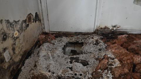 Major Decay - _DSC5667.JPG