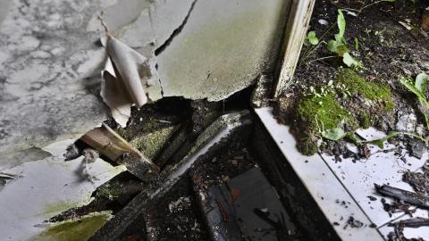 Major Decay - _DSC5679.JPG