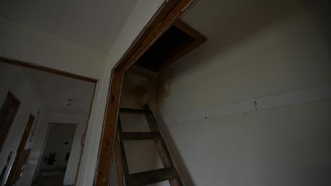 Poop Stair - _DSC5835.JPG