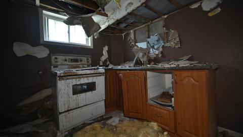 Photo from Neighbours Dog