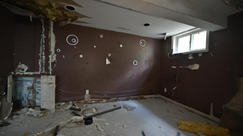 Photo from Neighbours Dog