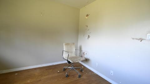 Photo from Neighbours Dog