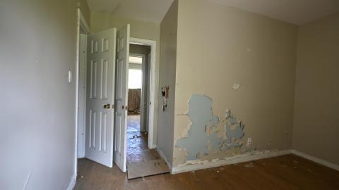 Neighbours Dog - _DSC5883.JPG