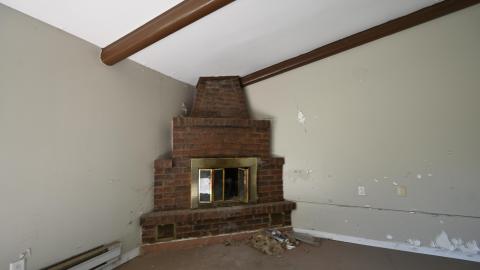 Neighbours Dog - _DSC5895.JPG