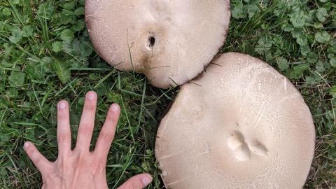 Barns - PXL_20210925_165912776.jpg