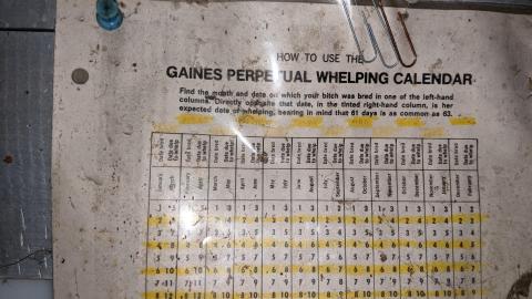 Barns - PXL_20210925_165220603.jpg