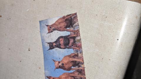 Barns - PXL_20210925_165105841.jpg