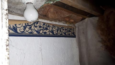 Dragon sized holes in walls - 20210815_160829.jpg