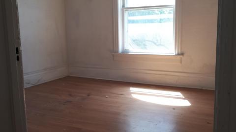 Dragon sized holes in walls - 20210815_145057.jpg