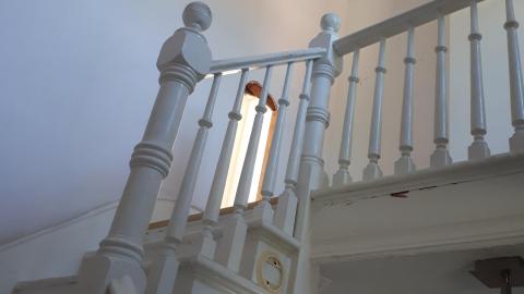 Dragon sized holes in walls - 20210815_144958.jpg