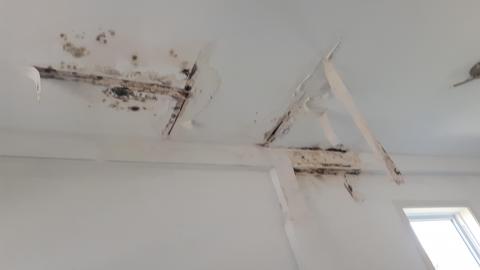 Dragon sized holes in walls - 20210815_144609.jpg