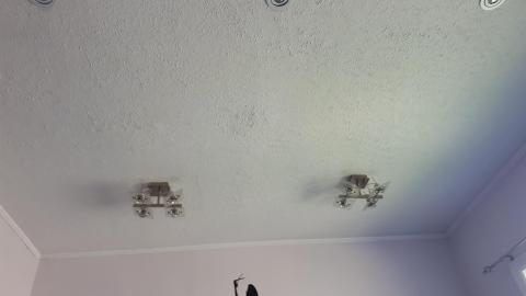 Dragon sized holes in walls - 20210815_144507.jpg