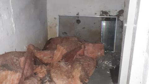 Dragon sized holes in walls - 20210815_144249.jpg