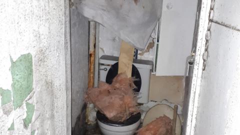 Dragon sized holes in walls - 20210815_143915.jpg