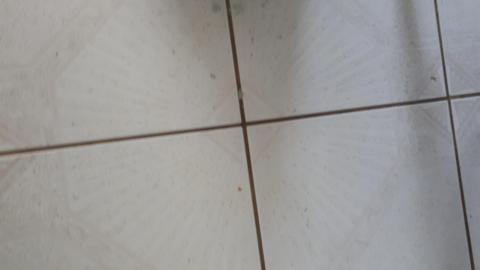 Light's worth saving - 20210501_153851.jpg