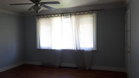 Light's worth saving - 20210501_153218.jpg