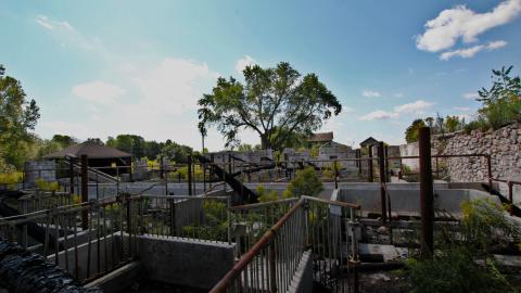 Whatever DID Jon Do? - IMG_6132.JPG