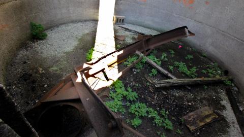 Whatever DID Jon Do? - IMG_6135.JPG