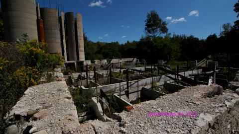 Whatever DID Jon Do? - IMG_6144.JPG