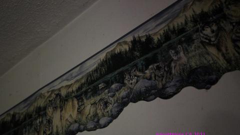 Whatever DID Jon Do? - IMG_6194.JPG