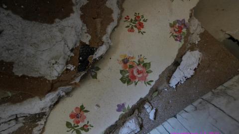 Whatever DID Jon Do? - IMG_6215.JPG