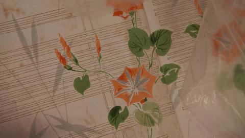 Whatever DID Jon Do? - IMG_6223.JPG